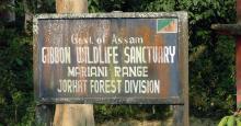 Gibbon Wildlife Sanctuary