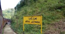 Jatinga