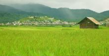 Ziro
