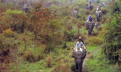 Manas National Park