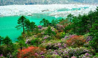 Yumthang Valley Package