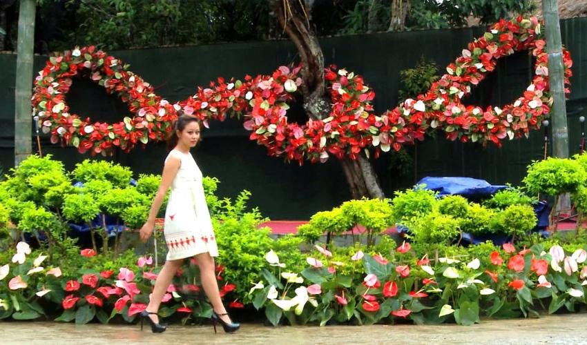 Anthurium Festival