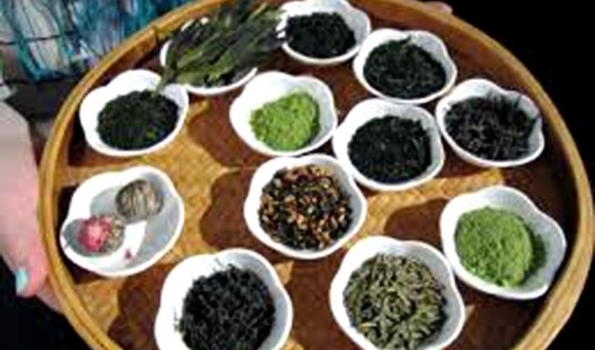 Tea Festival