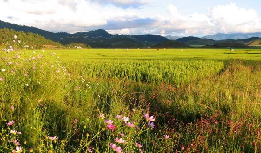 Indo – Myanmar Trek