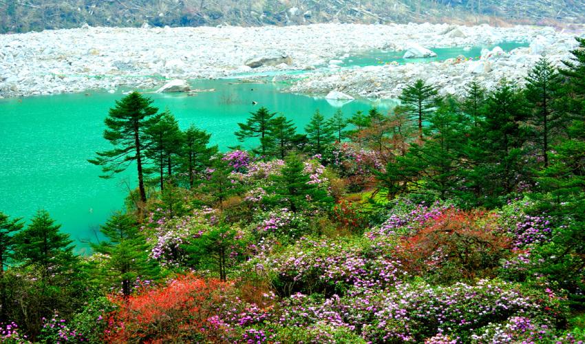 Yumthang Valley Package