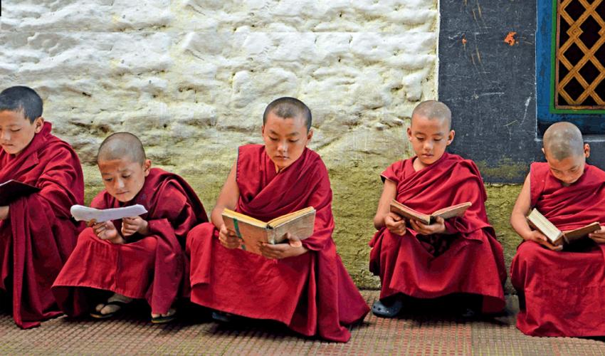 Birding - West Kameng