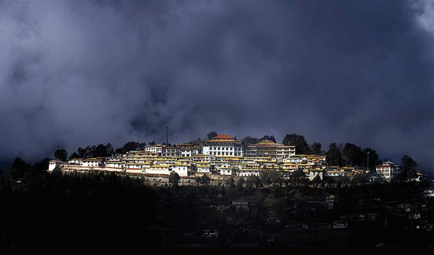 Birding - West Kameng