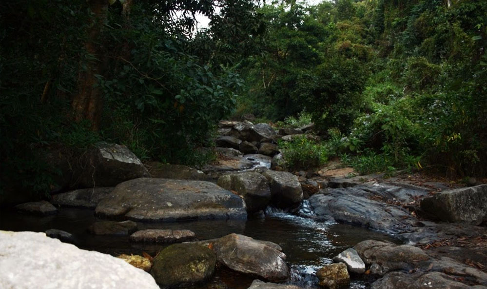 Chakrashila Wildlife Sanctuary 