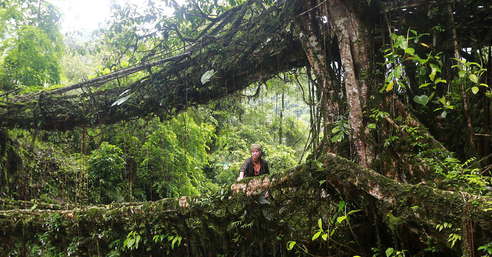 Double Decker Living root bridge