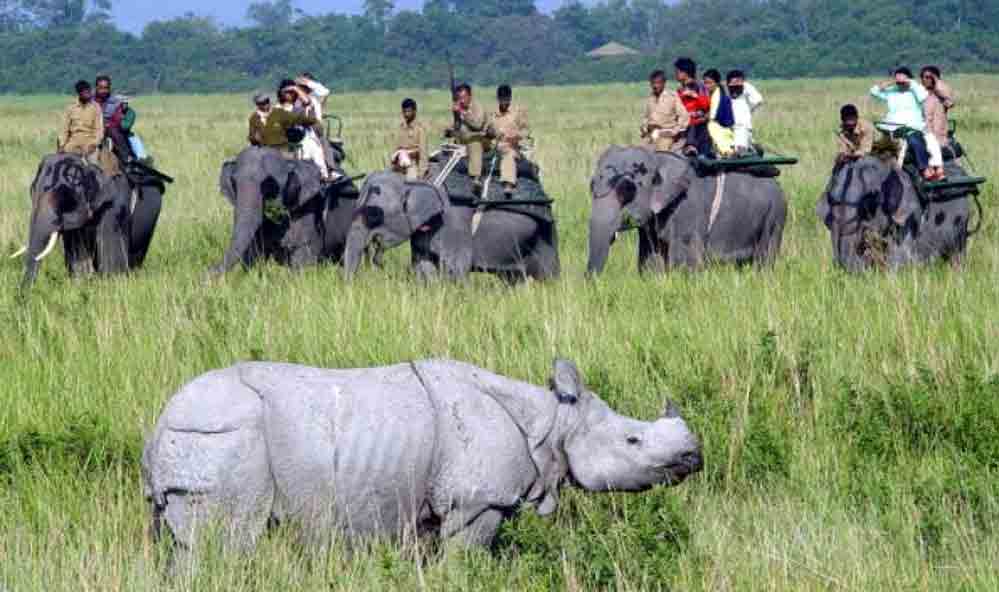 Kaziranga National Park 