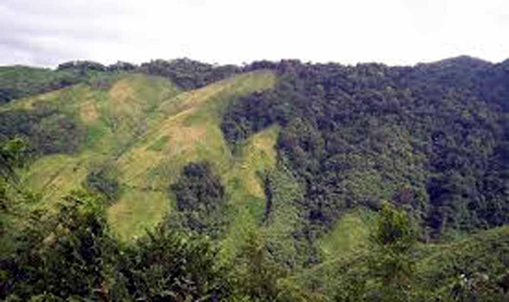 Nokrek National Park