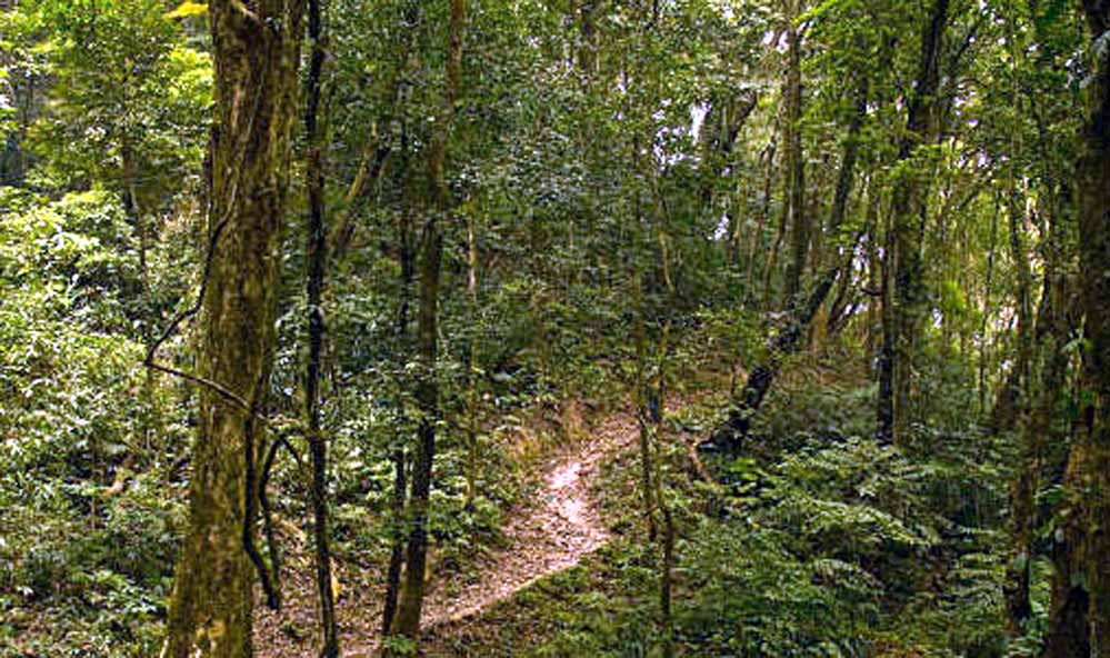 Nokrek National Park