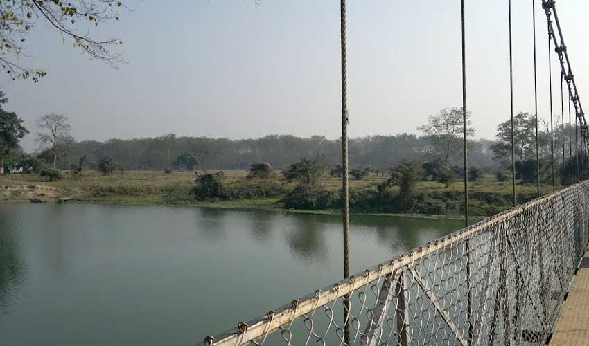 Pobitora Wildlife Sanctuary